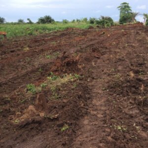 land for sale at prampram