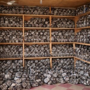 reliable car spare parts for performance & durability